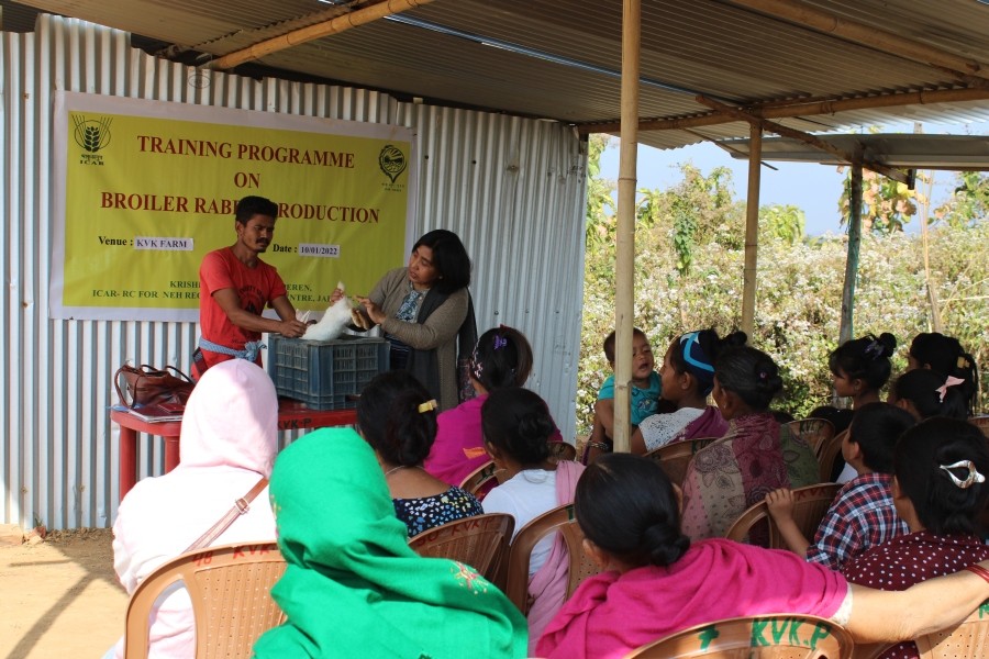 A one day training on ‘Broiler Rabbit Production’ and  two days training on ‘Goat Rearing and Management’ were organized by Krishi Vigyan Kendra (KVK) Peren District, ICAR Nagaland Centre on January 11, 12 and 13 at KVK Farm and Jalukie B respectively. 